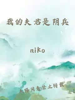 我的夫君是阴兵